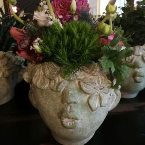Blumen im Betonoptik-Topf